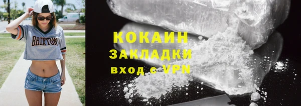 шишки Богородск