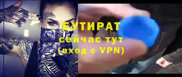 гидра Богданович
