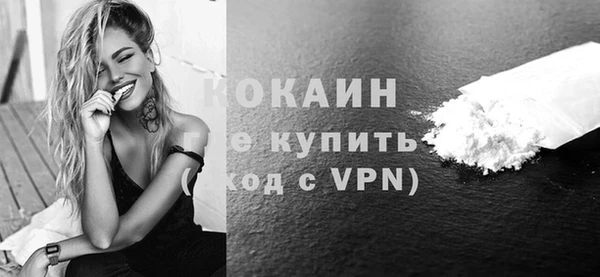 гидра Богданович