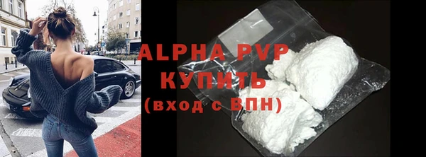 гидра Богданович