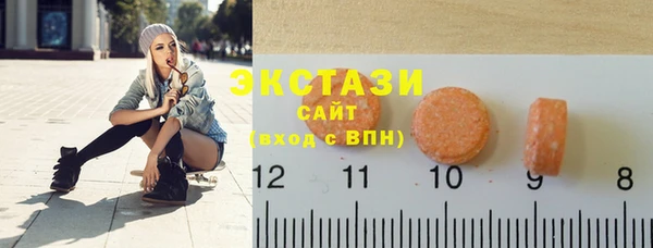 гидра Богданович