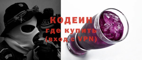 гидра Богданович
