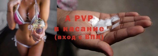 гидра Богданович