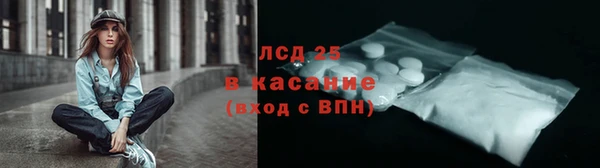 гидра Богданович