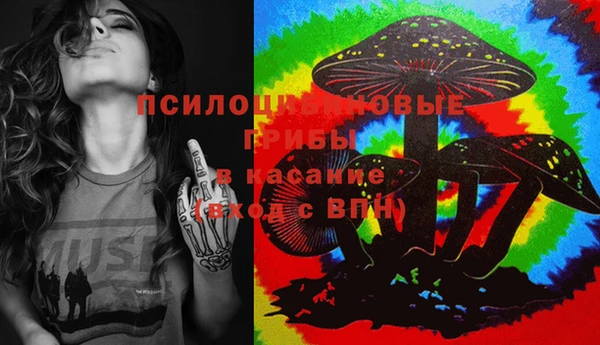 шишки Богородск