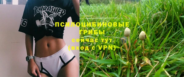 шишки Богородск
