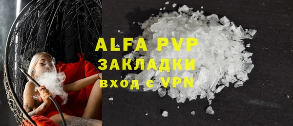 гидра Богданович